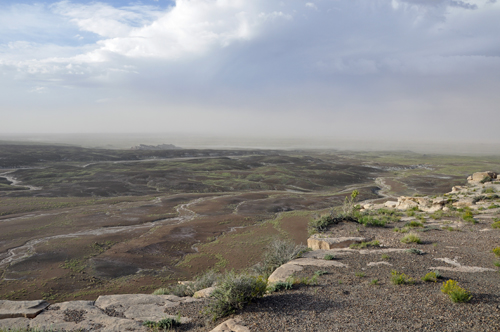 view from the Blue Mesa Overlook at the Petrified Forest